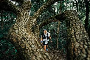 BIB: 
                            <button type="button" onclick="openModal(25393066)" class="btn btn-primary btn-sm float-right btn-popup" data-toggle="modal" data-target=".modal-high-quality">
                        <i class="fas fa-shopping-cart"></i> Add to Cart
                    </button>
                                            <button type="button" onclick="isThisMe(25393066, true)" class="btn btn-success btn-sm float-right btn-popup btn-isme hidden" data-toggle="tooltip" data-placement="bottom" title="นี่คือรูปของคุณใช่ไหม คลิกที่นี่เพื่อเอาเข้าอัลบั้ม">
                        <i class="fas fa-plus"></i> Add to album
                    </button>
                    <button type="button" onclick="isThisMe(25393066, false)" class="btn btn-warning btn-sm float-right btn-popup btn-isnotme hidden">
                        <i class="fas fa-ban"></i> Remove from album
                    </button>